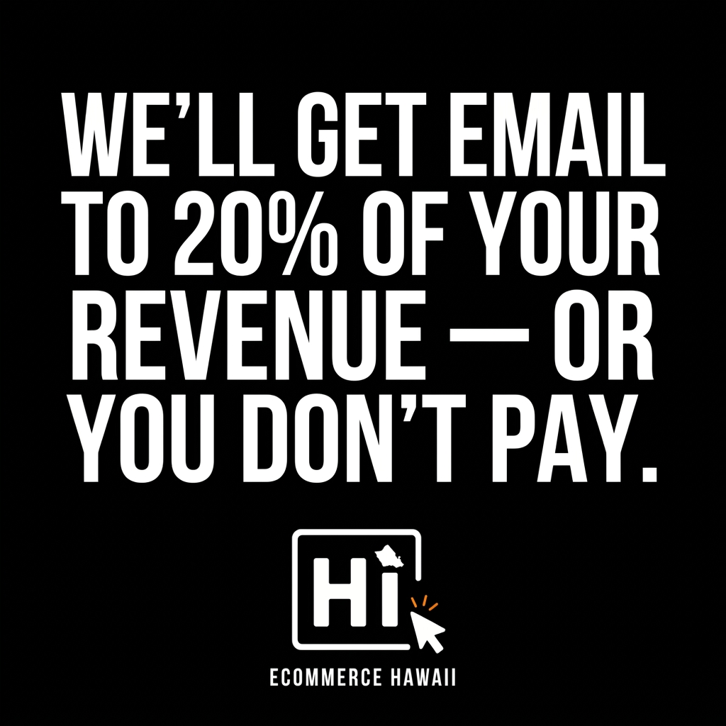 Ecommerce Hawaii Facebook ad: From $0 to $85k in Email Revenue