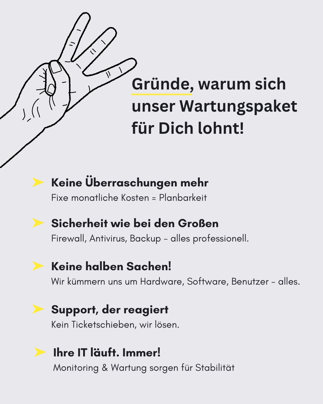 cebra GmbH Facebook ad: So unterstützen wir dich als IT-Partner