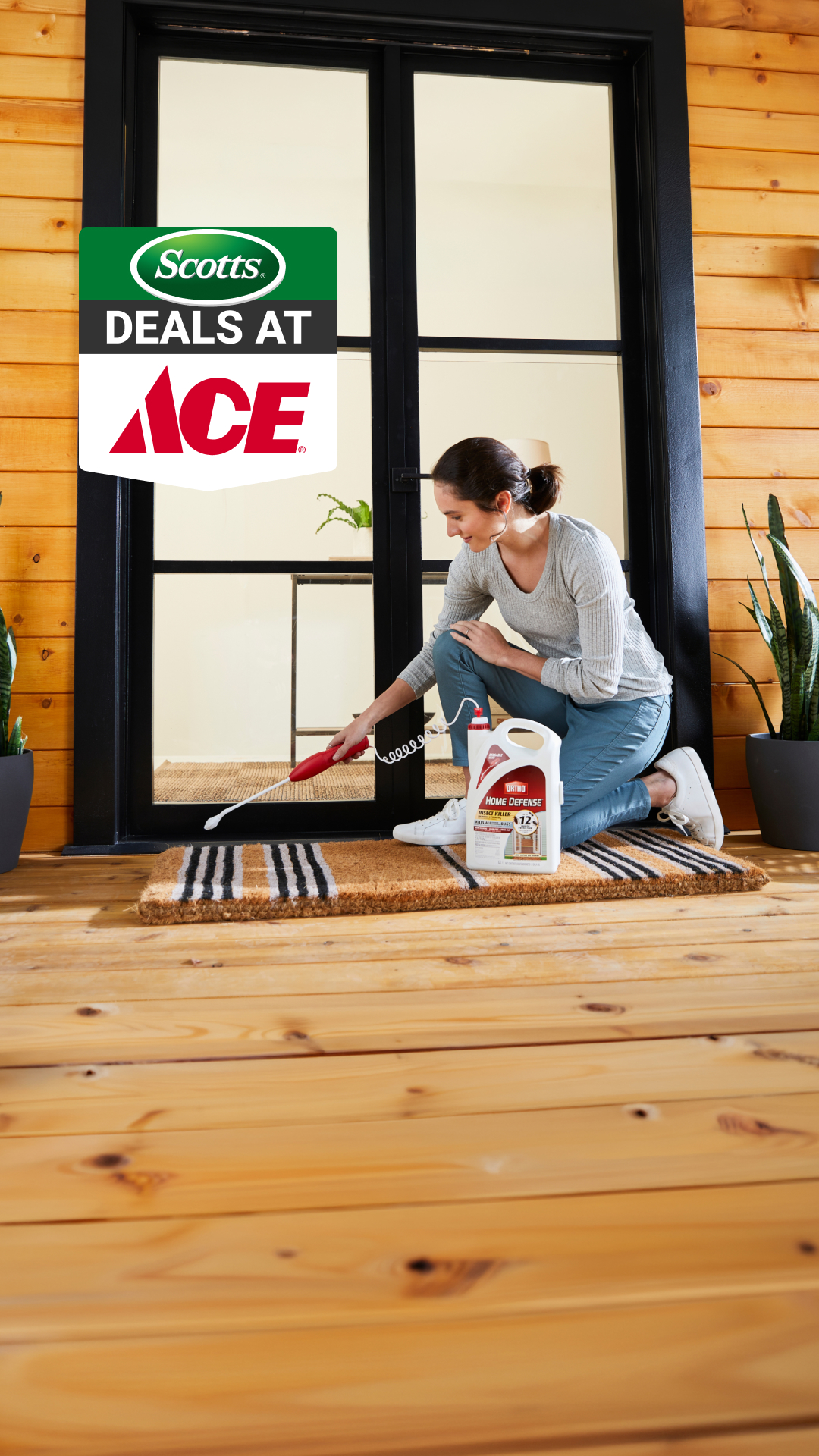 Ace Hardware Facebook ad