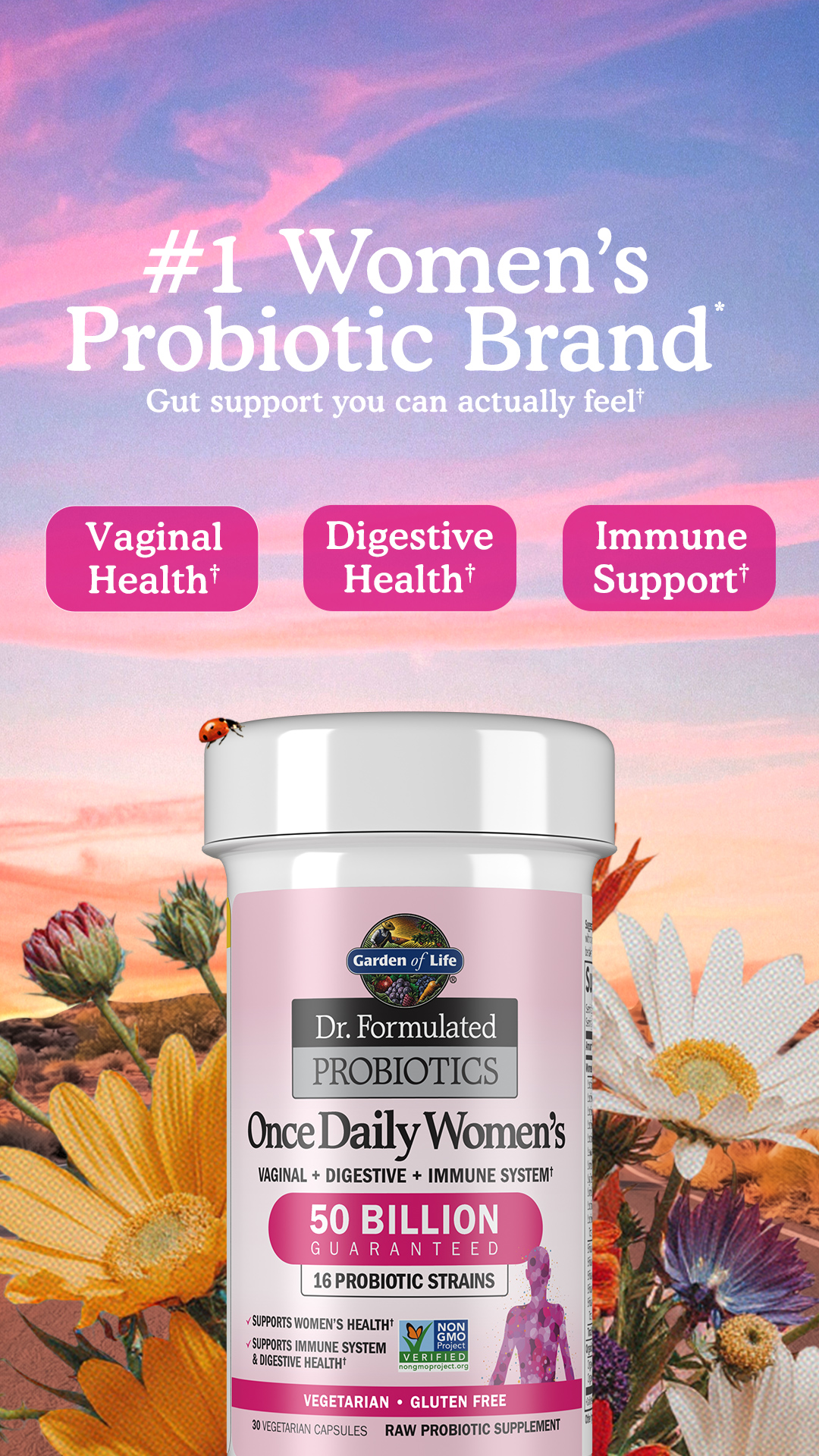 Veggiekins Facebook ad from May 20, 2026