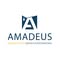 Amadeus - Szkoła Podstawowa