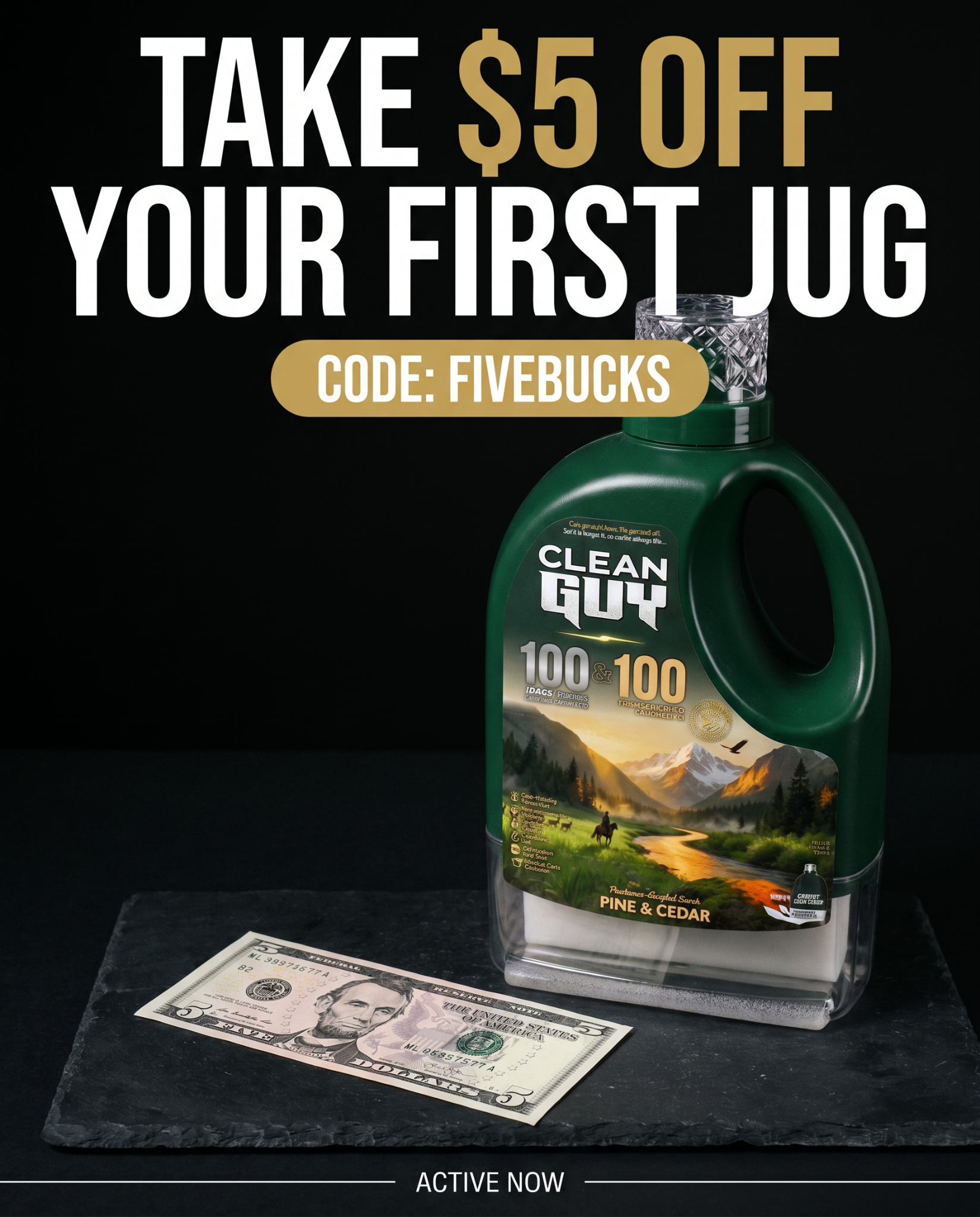 Clean Guy Facebook ad