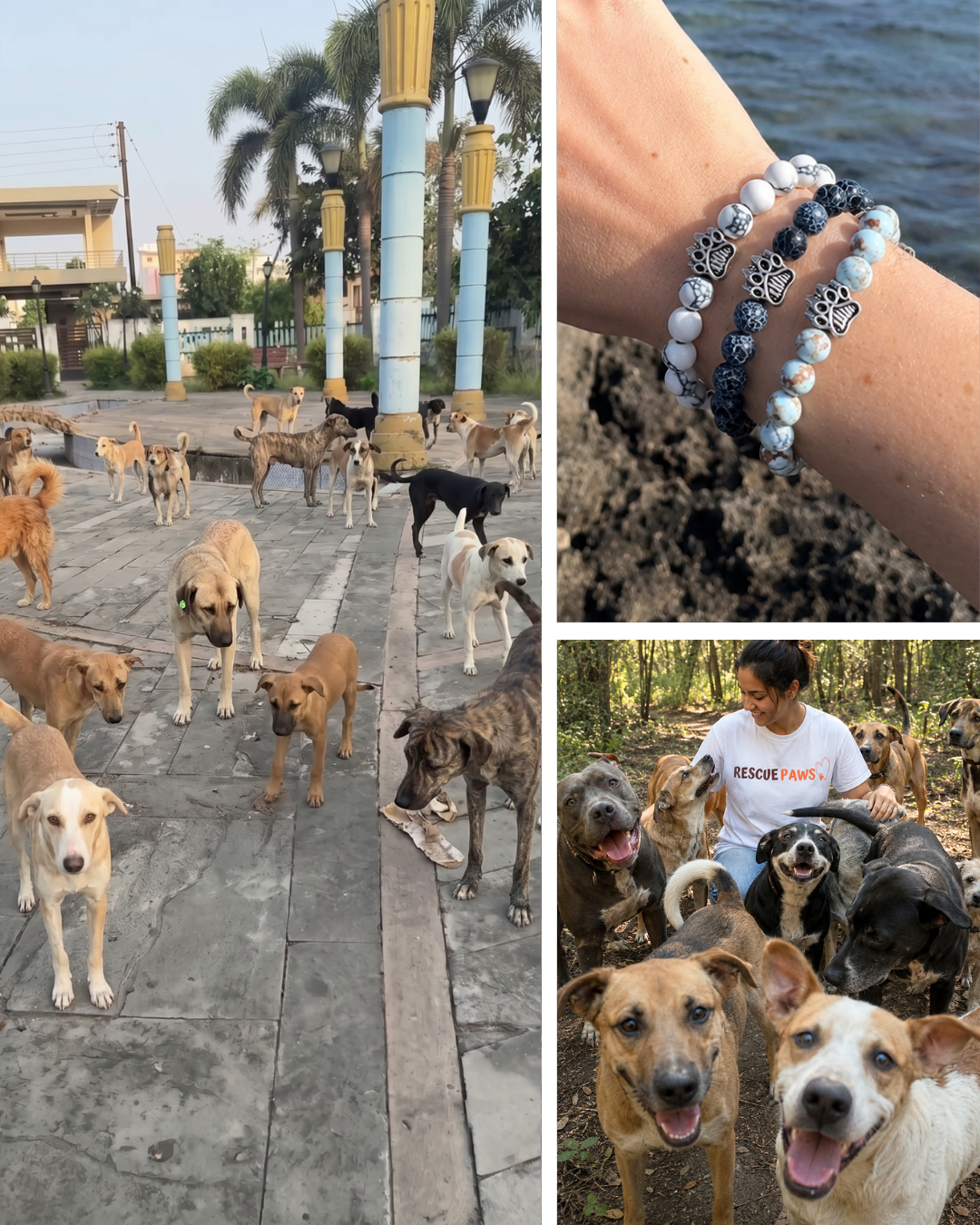 Rescue Paws Facebook ad