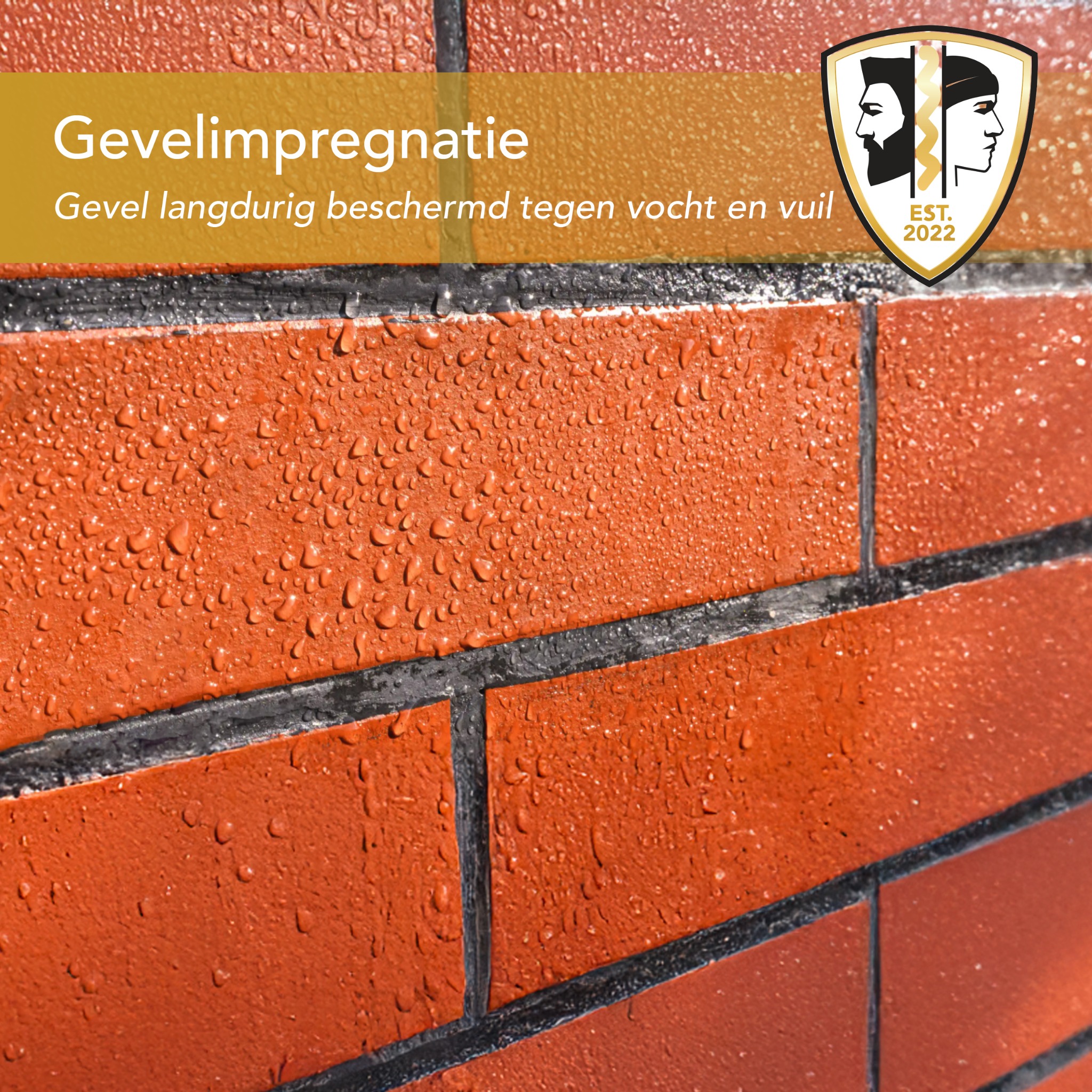 Isolatie Broeders Facebook ad: Vraag nu een gratis inspectie aan