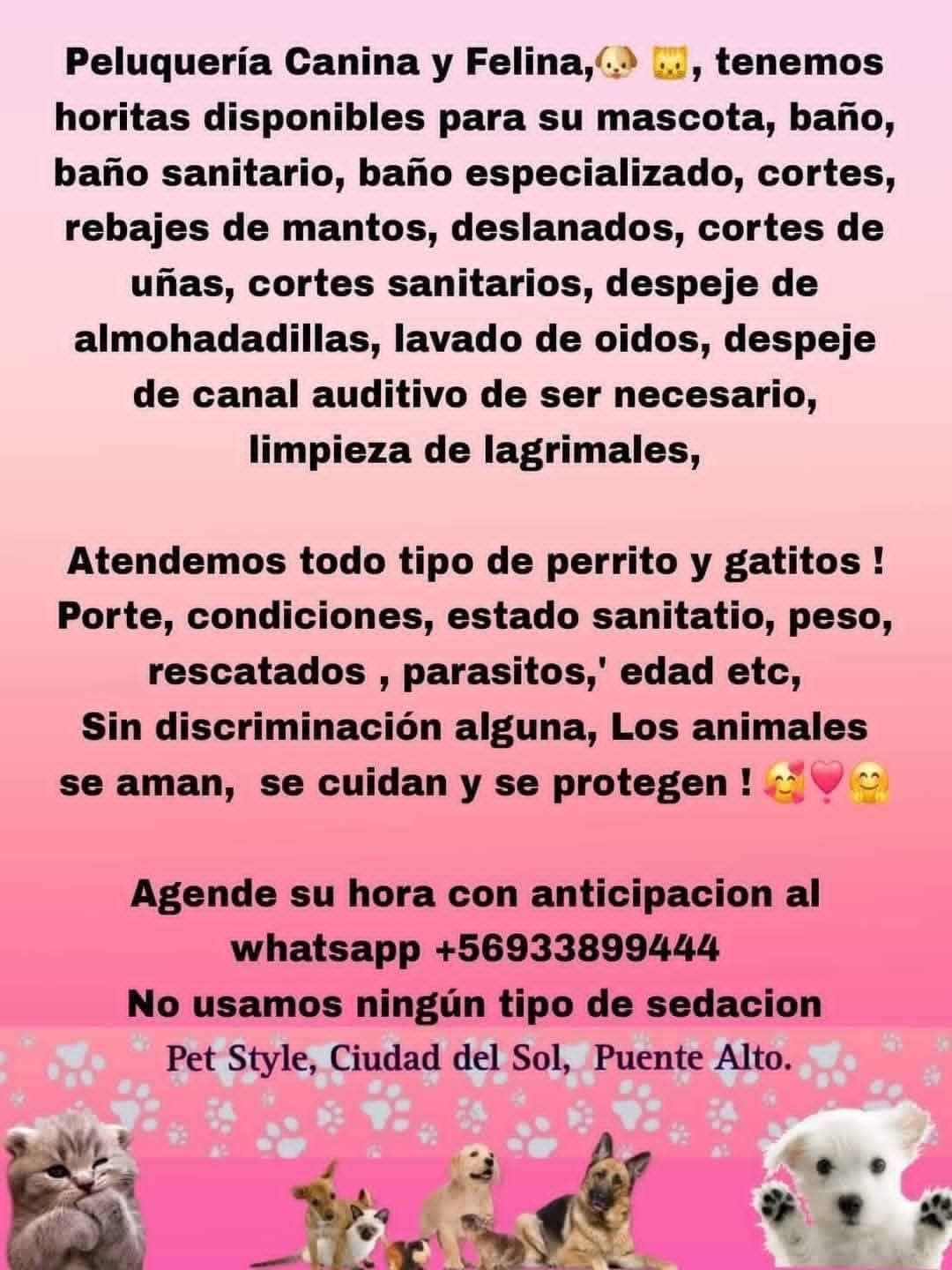 Pet-Style Pelu Facebook ad: Horitas disponibles para hoy +56933899444