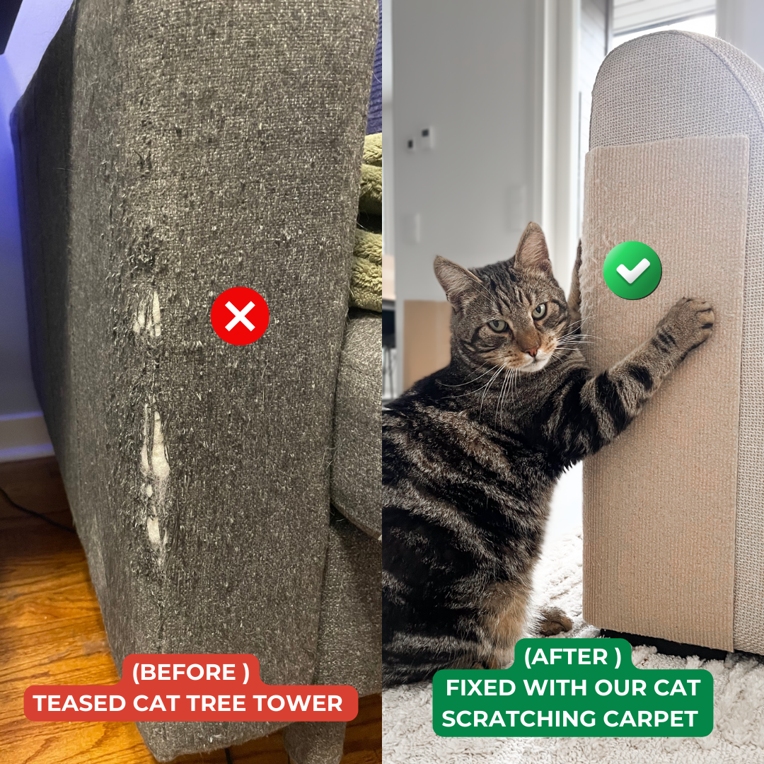 Leo's Paw Facebook ad