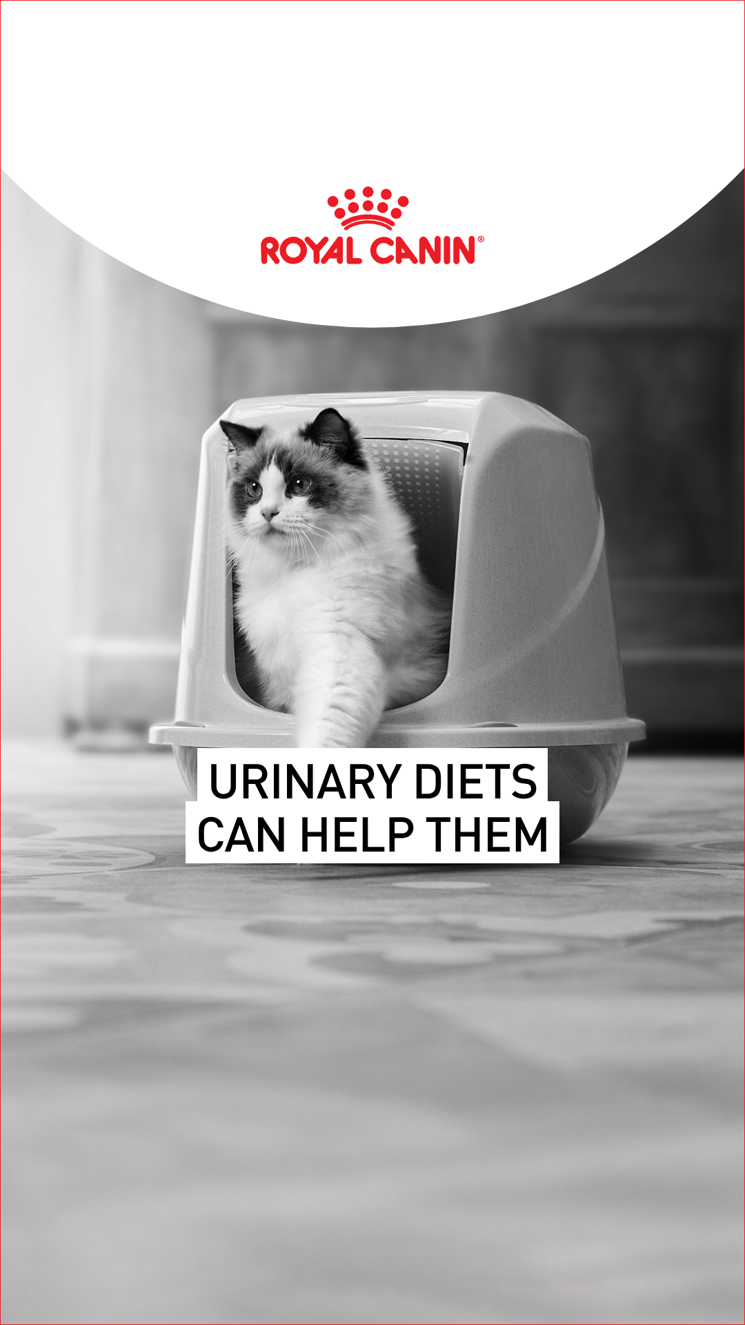Royal Canin Facebook ad