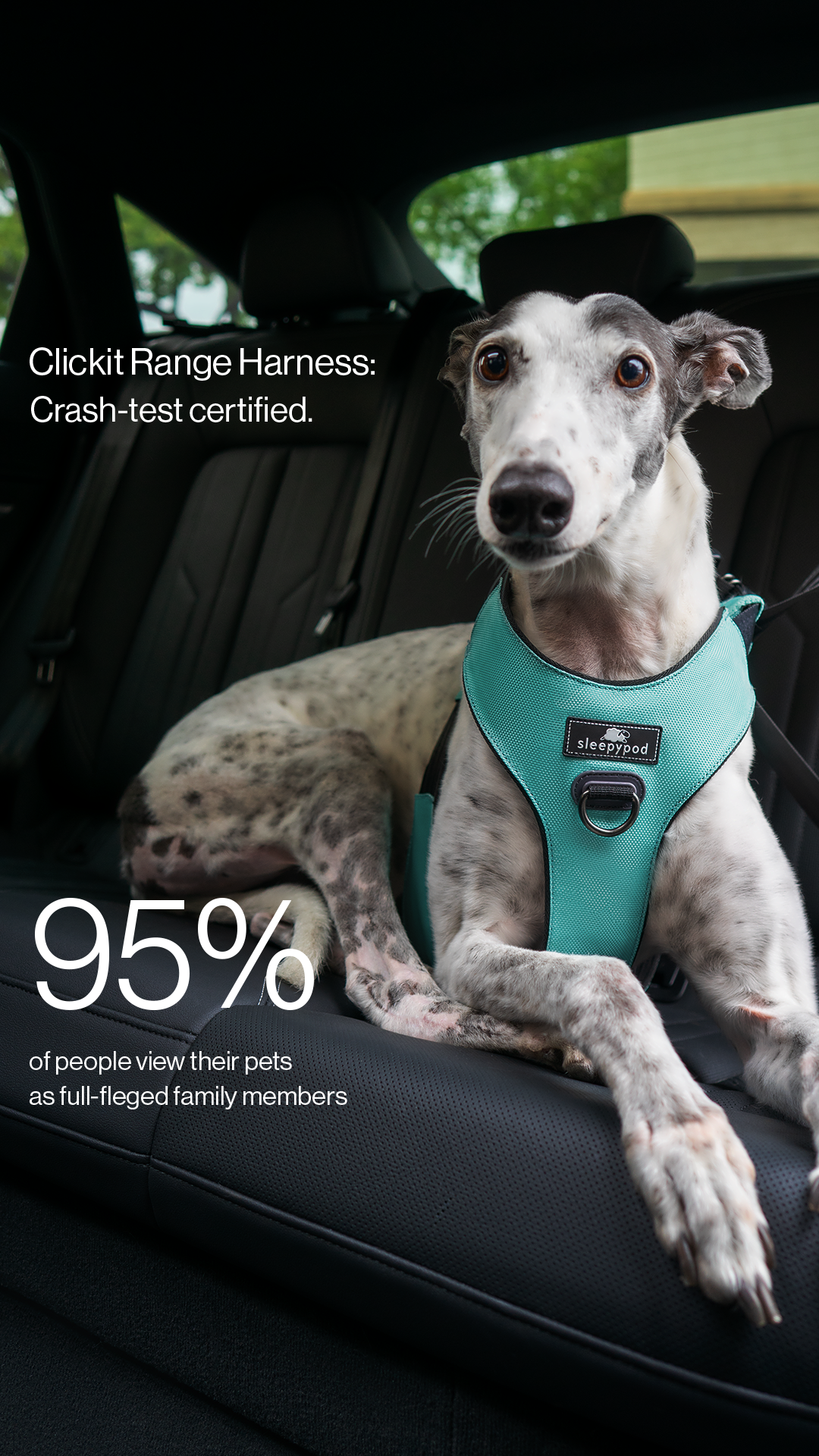 Sleepypod Facebook ad