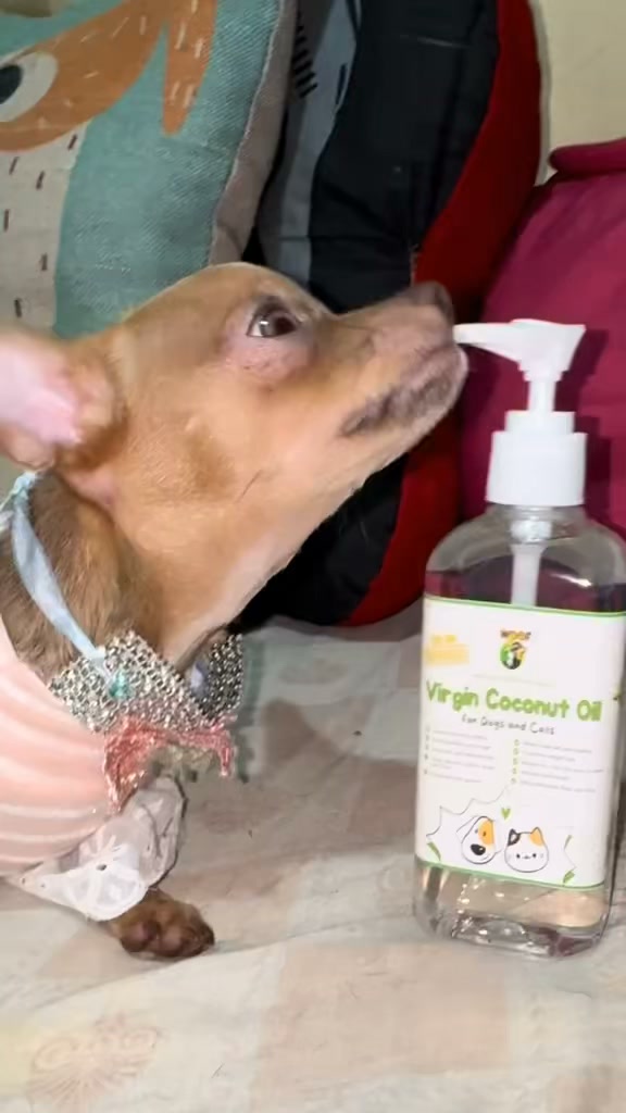 WOOF Premium Organic Dog Shampoo and Soap Facebook ad: 𝗡𝗔𝗧𝗨𝗥𝗔𝗟 𝗖𝗔𝗥𝗘 para sa iyong fur babies!