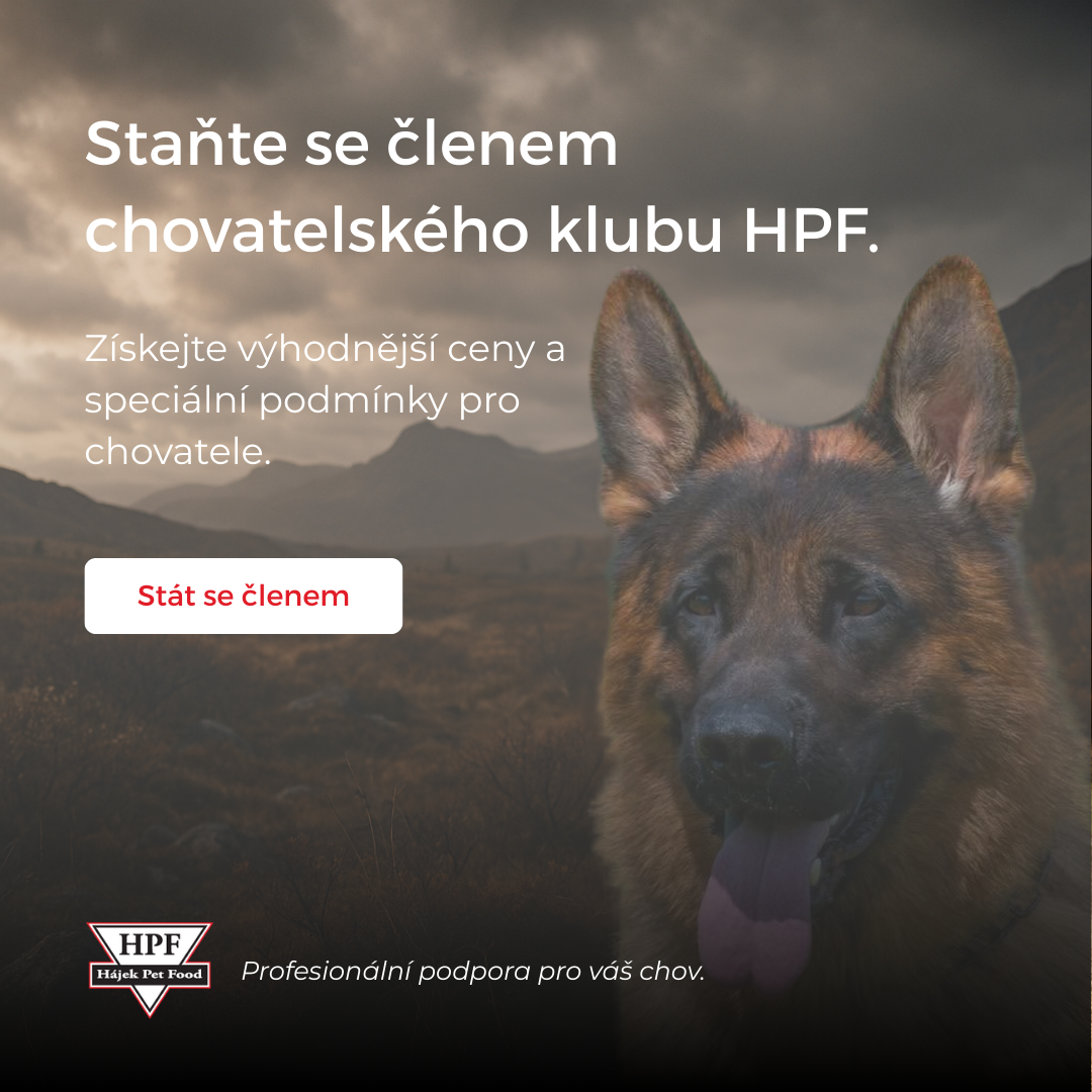 Hájek Pet Food Facebook ad from Nov 28, 2025