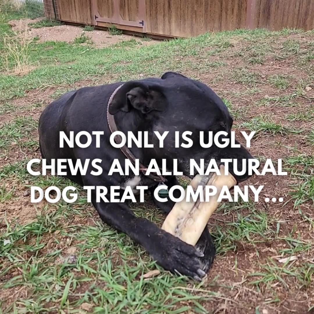 Ugly Chews Facebook ad: The Ugliest Dog Chews on the Planet