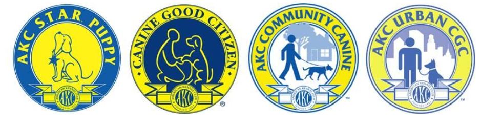 Salina Kennel Club Facebook ad: Salina Kennel Club March Classes