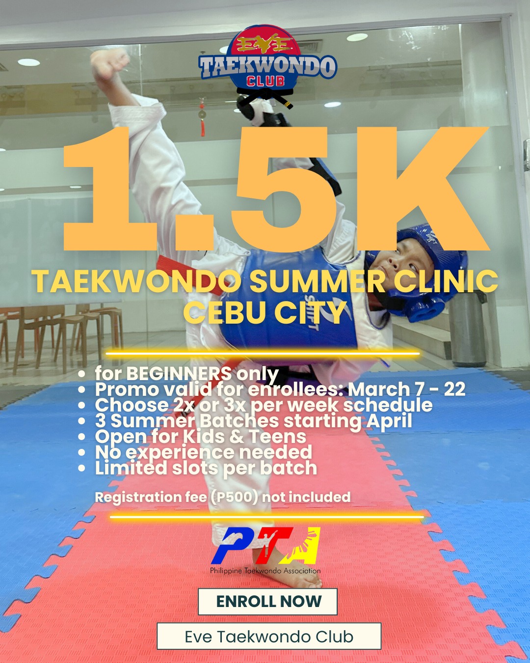 Eve Taekwondo Club Facebook ad