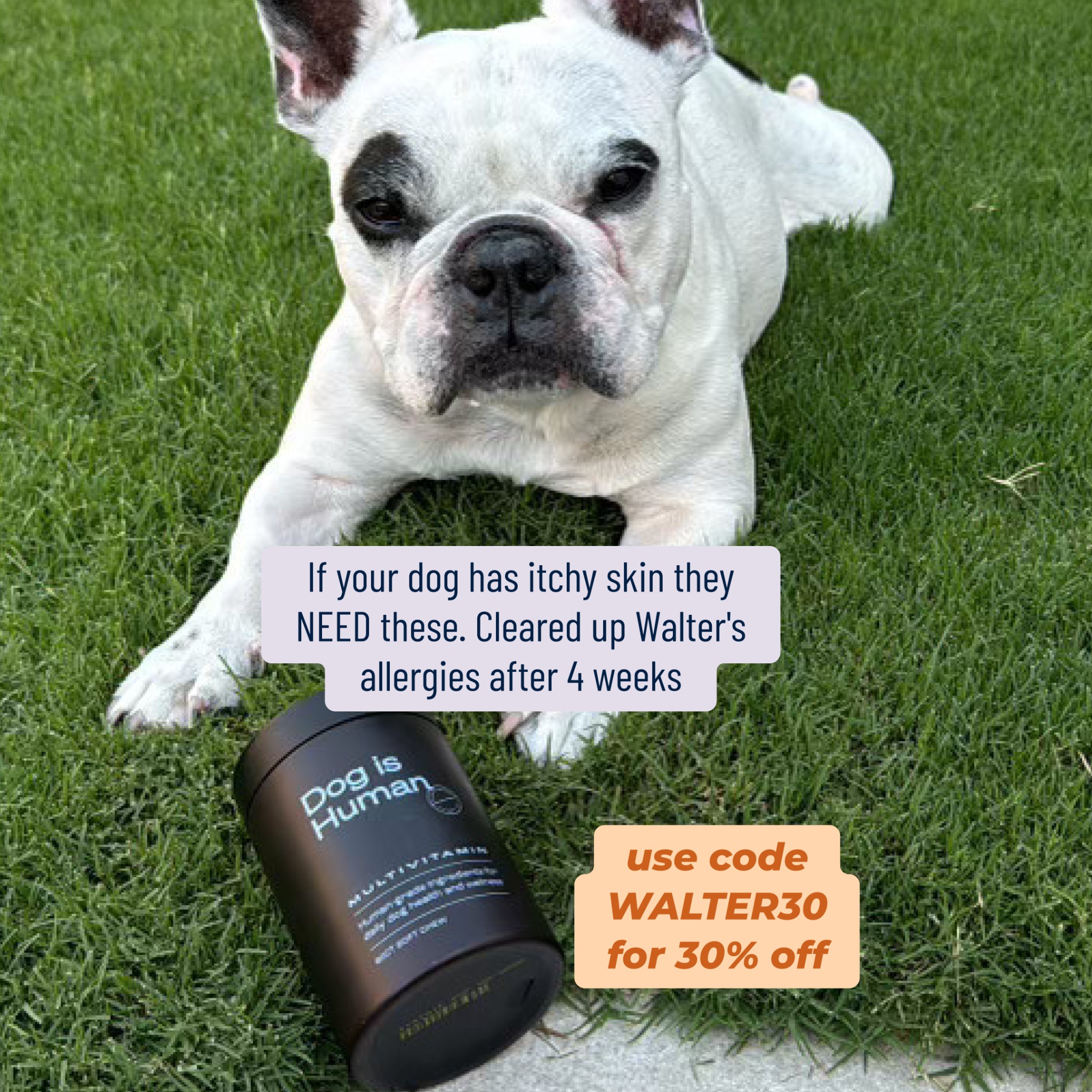 Walter Geoffrey Facebook ad