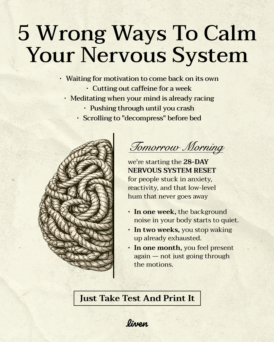Liven: Train Your Brain to Switch Effortlessly Facebook ad: Neurobalance Plan Works