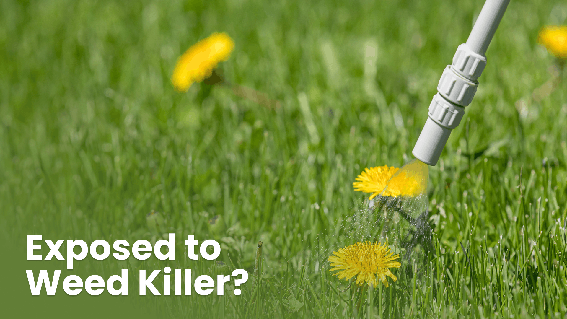 Weed Killer Class Settlement Facebook ad: Used Roundup? Sick with NHL?