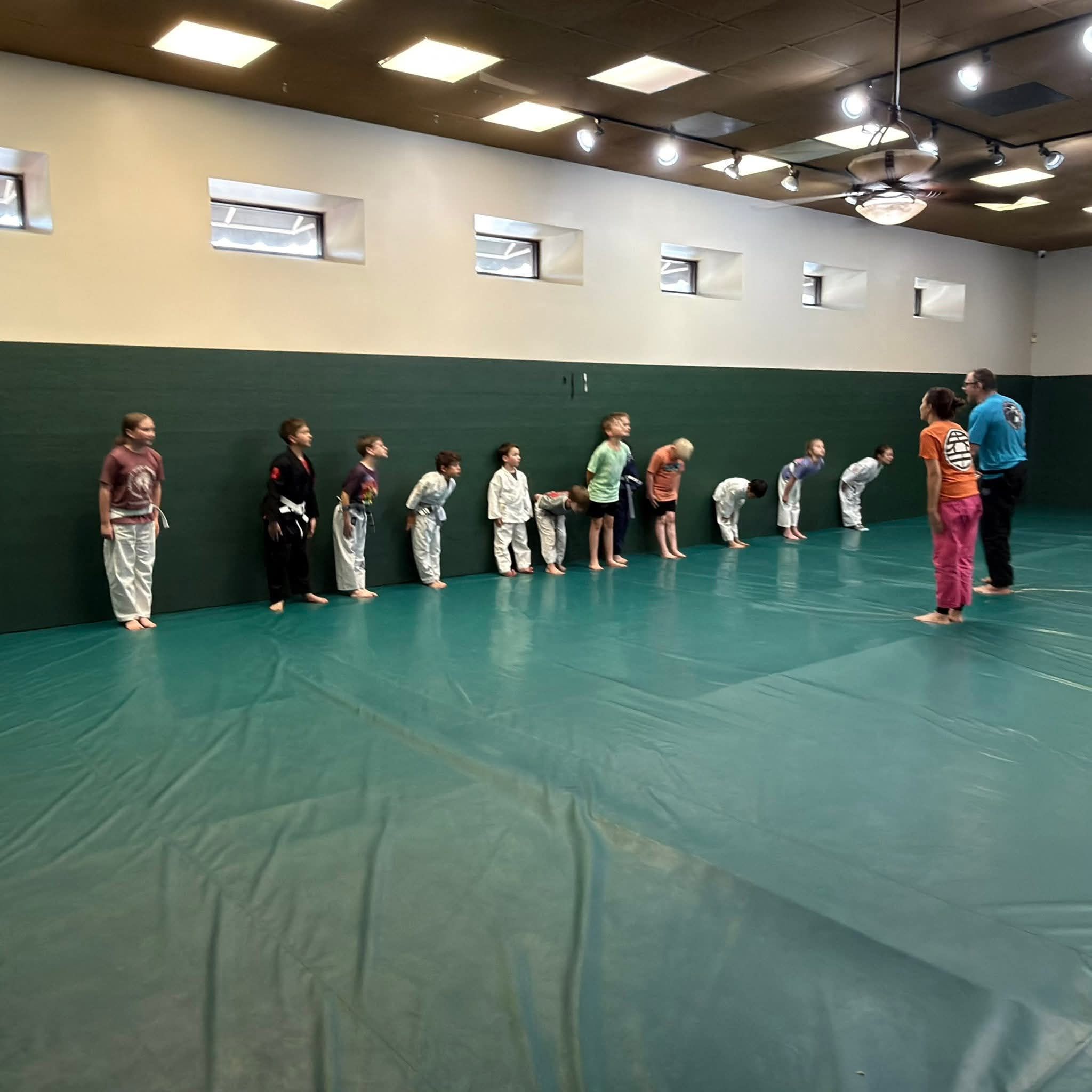 Blind Fury JiuJitsu Facebook ad