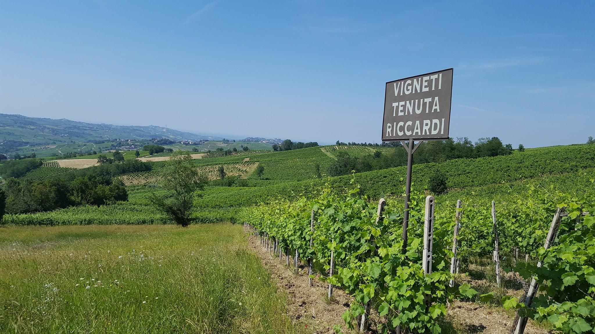 Tenuta Riccardi - Vini dal 1912 Facebook ad: Storica azienda vitivinicola situata nel cuore…