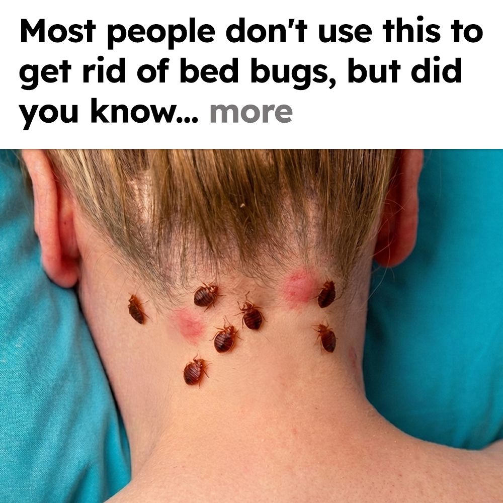 Ultimate Bed Bug Solution Facebook ad