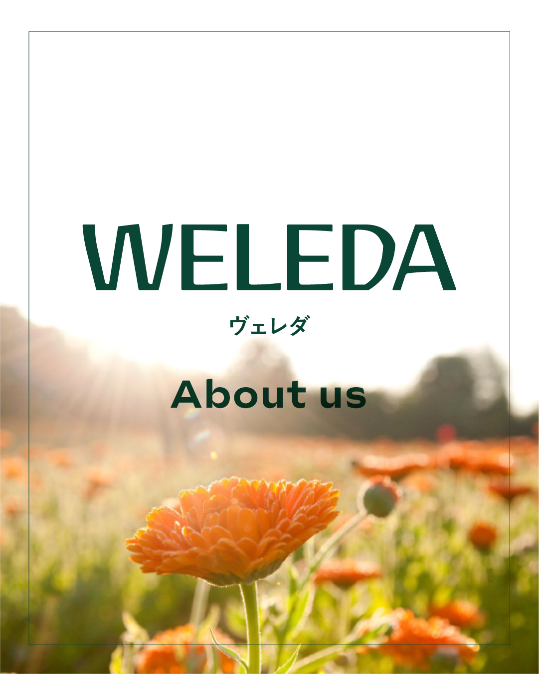 Weleda Facebook ad: 【About Weleda ヴェレダについて】