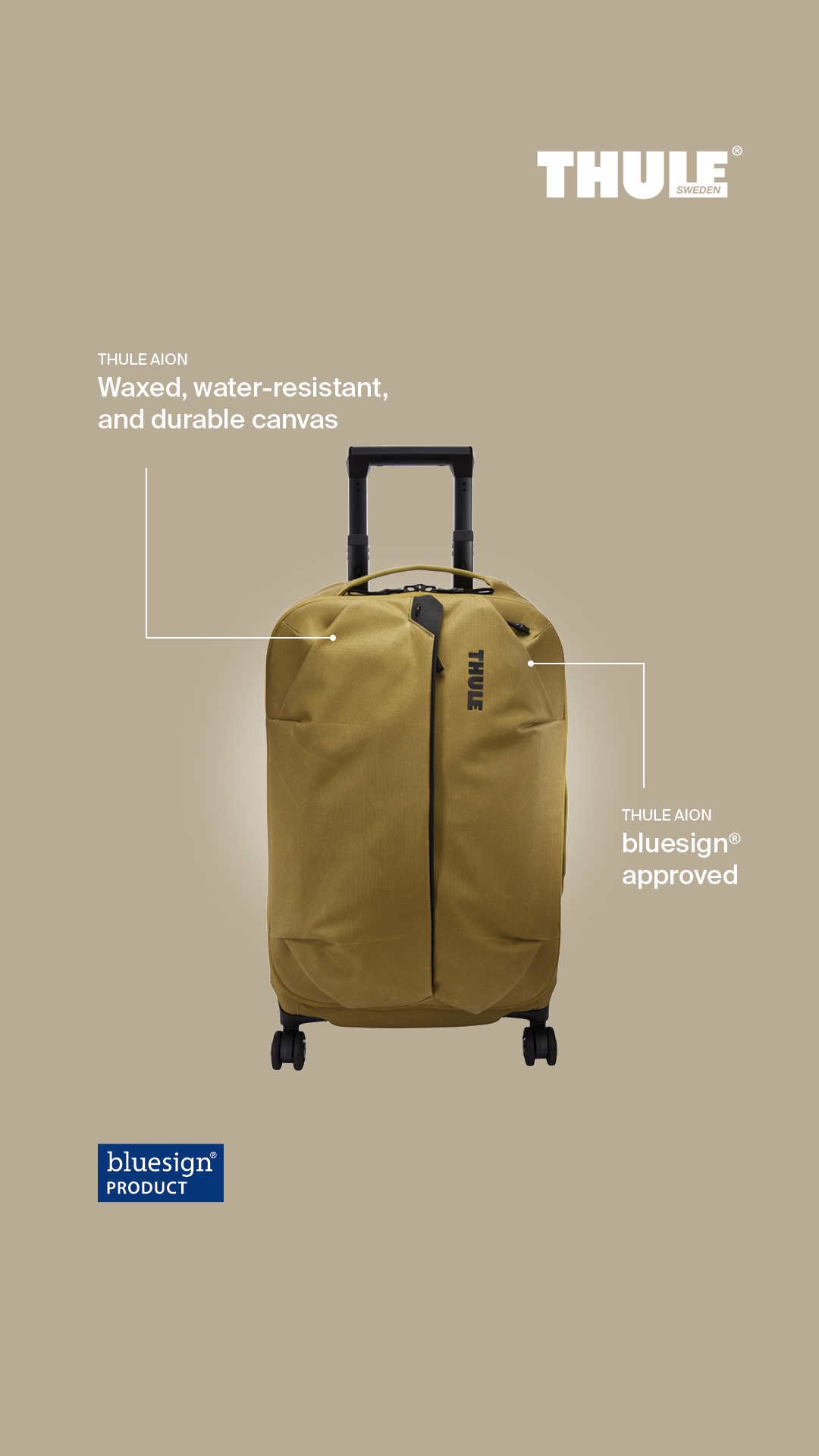 REI Facebook ad