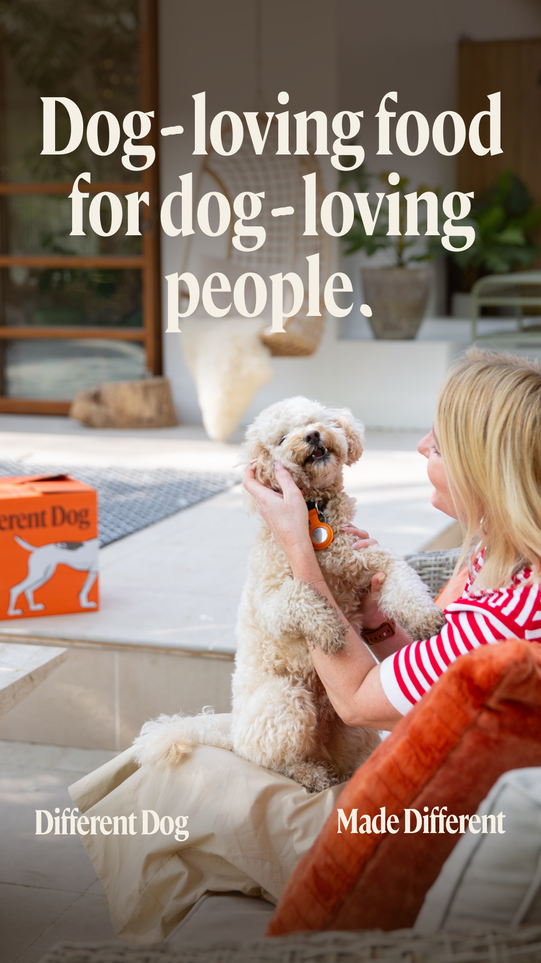 Different Dog Facebook ad