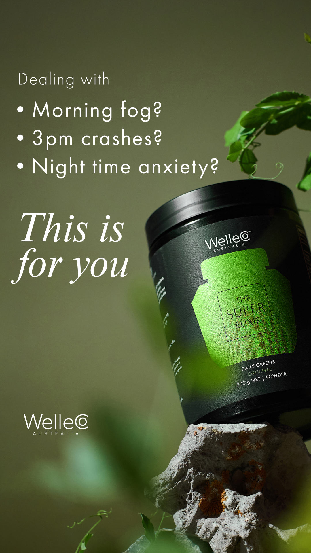 WelleCo Facebook ad
