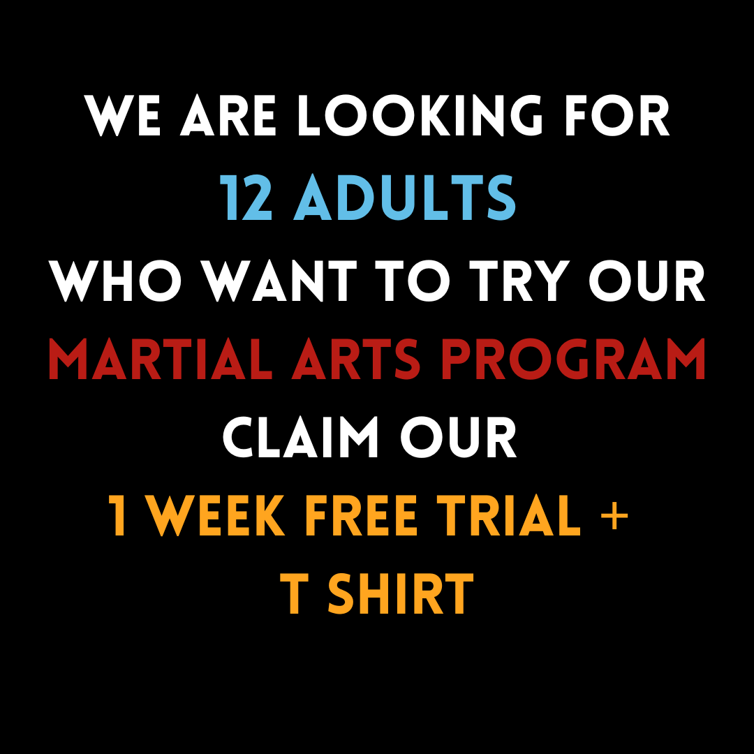 Premier Martial Arts Arizona Facebook ad