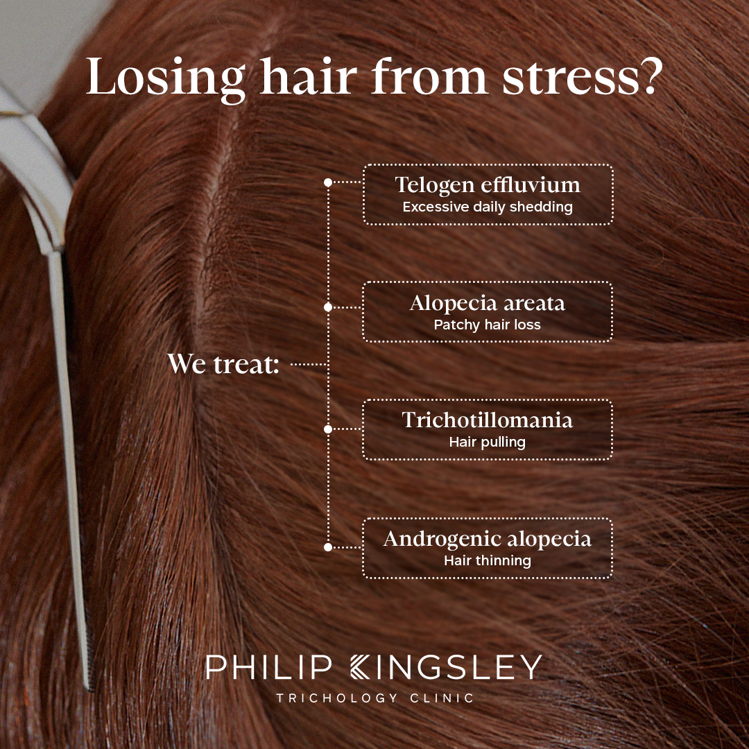 Philip Kingsley Facebook ad