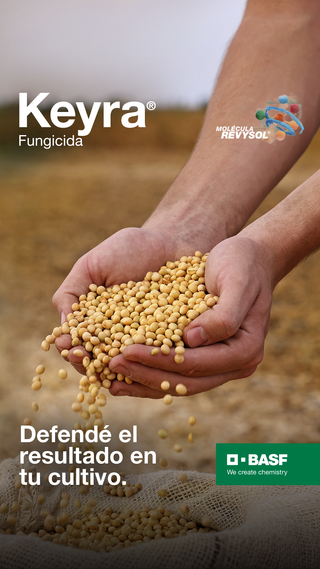 BASF Soluciones para la Agricultura Facebook ad from Jul 14, 2026