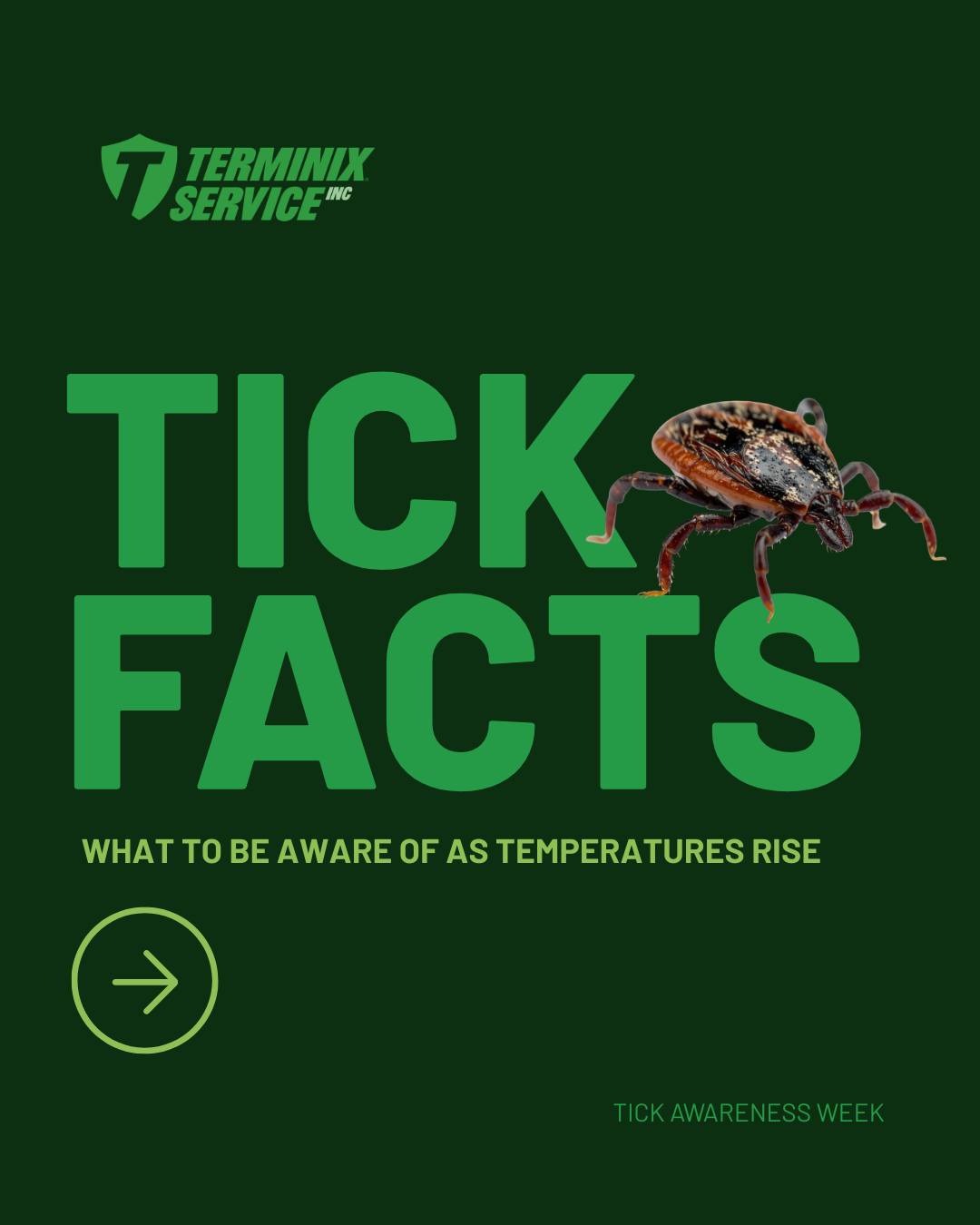 Terminix Service, Inc. Facebook ad