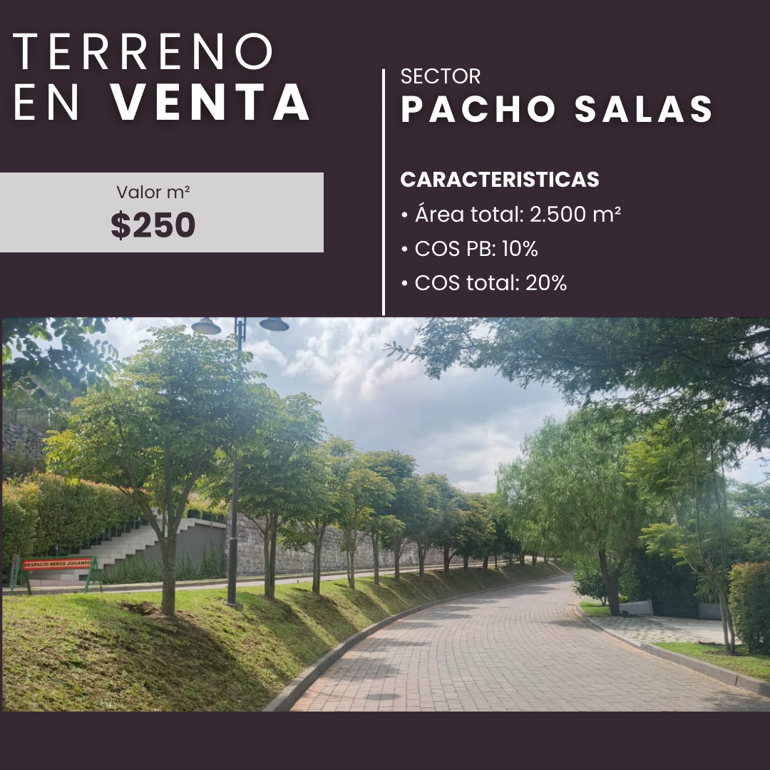 Lorena Bravo Garces Facebook ad: Terreno en venta en Pacho Salas