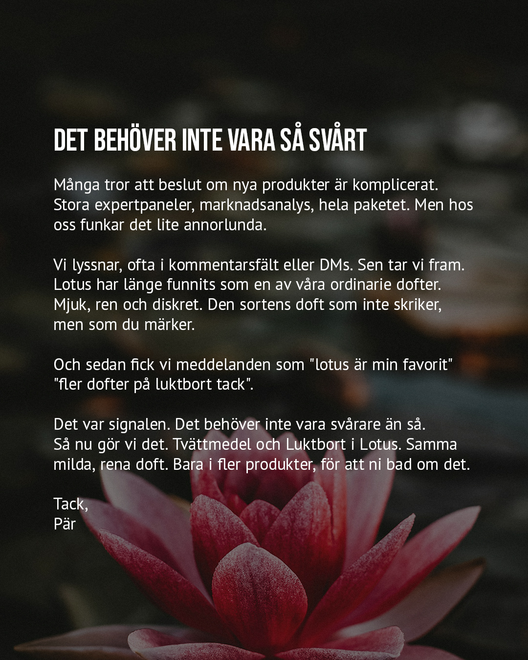 Sunda Facebook ad