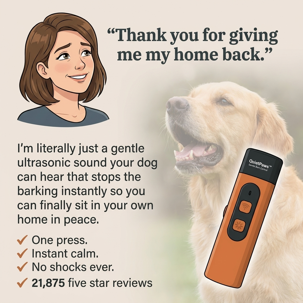 Hunters Doggy Daycare Facebook ad