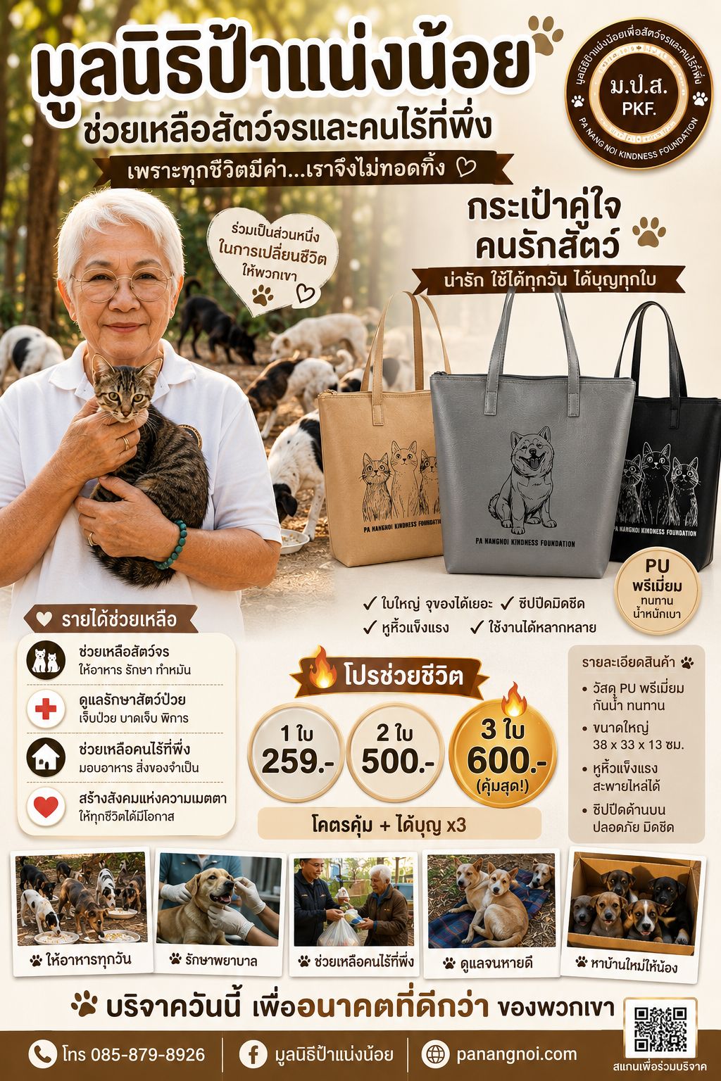 มูลนิธิป้าแน่งน้อยและมิตรปันสุข Facebook ad
