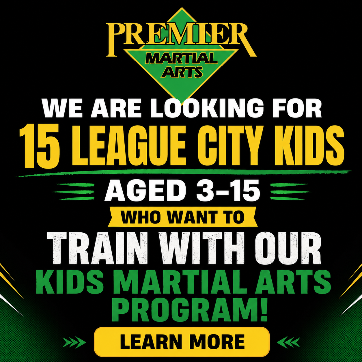 Premier Martial Arts Facebook ad: 2 Lessons & Uniform for $19.99