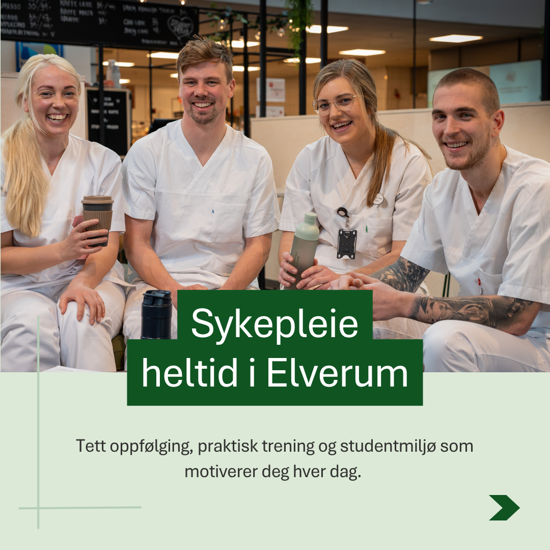 Universitetet i Innlandet Facebook ad