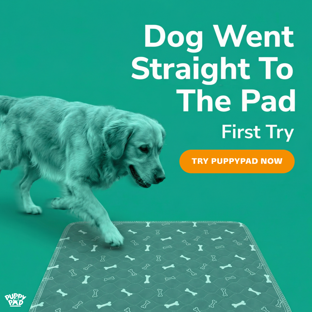 PuppyPad Facebook ad