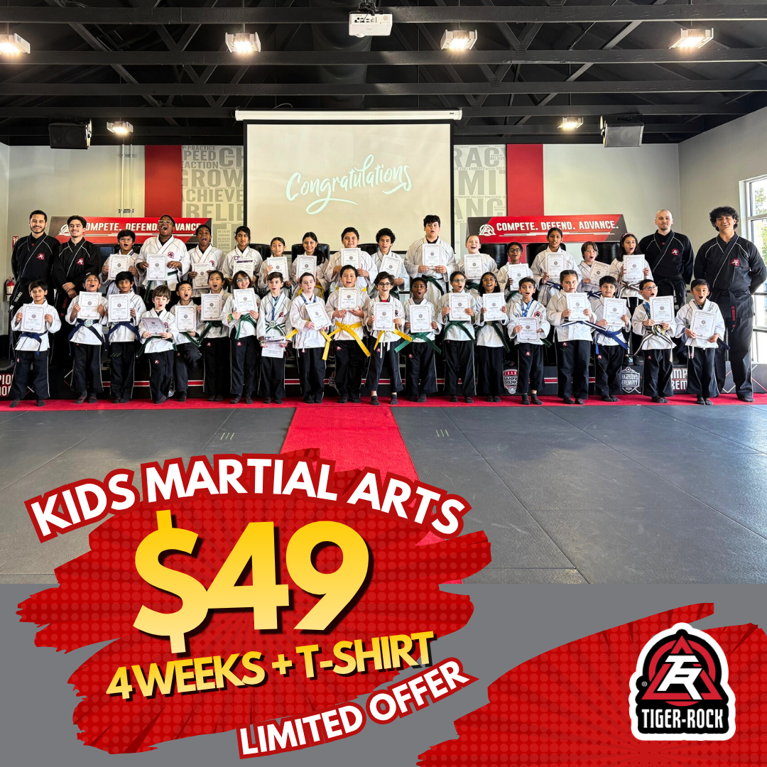 Tiger Rock Martial Arts of Katy South Facebook ad