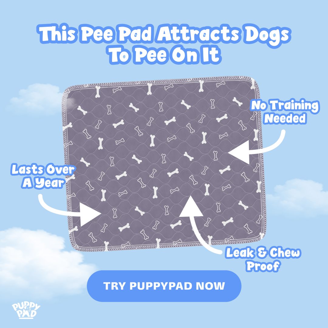 PuppyPad Facebook ad