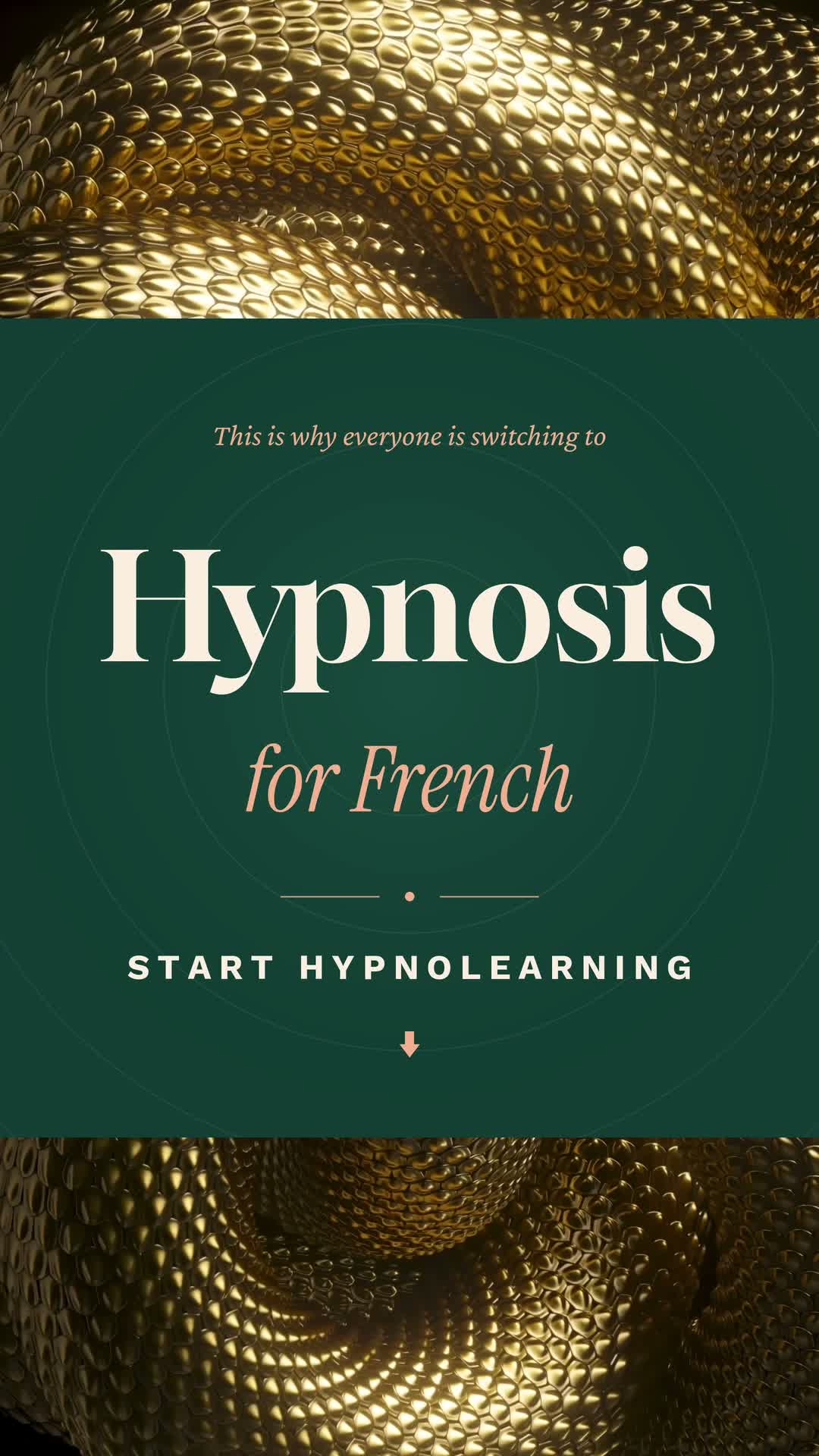 MakesYouFluent Facebook ad: Learn French 2x Faster