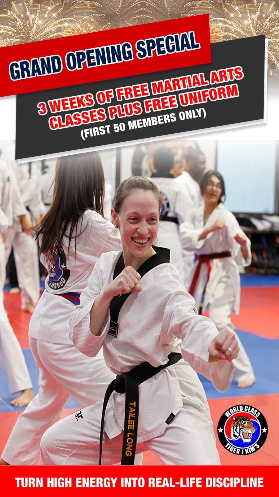 Tiger J Kim's World Class Tae Kwon Do Facebook ad