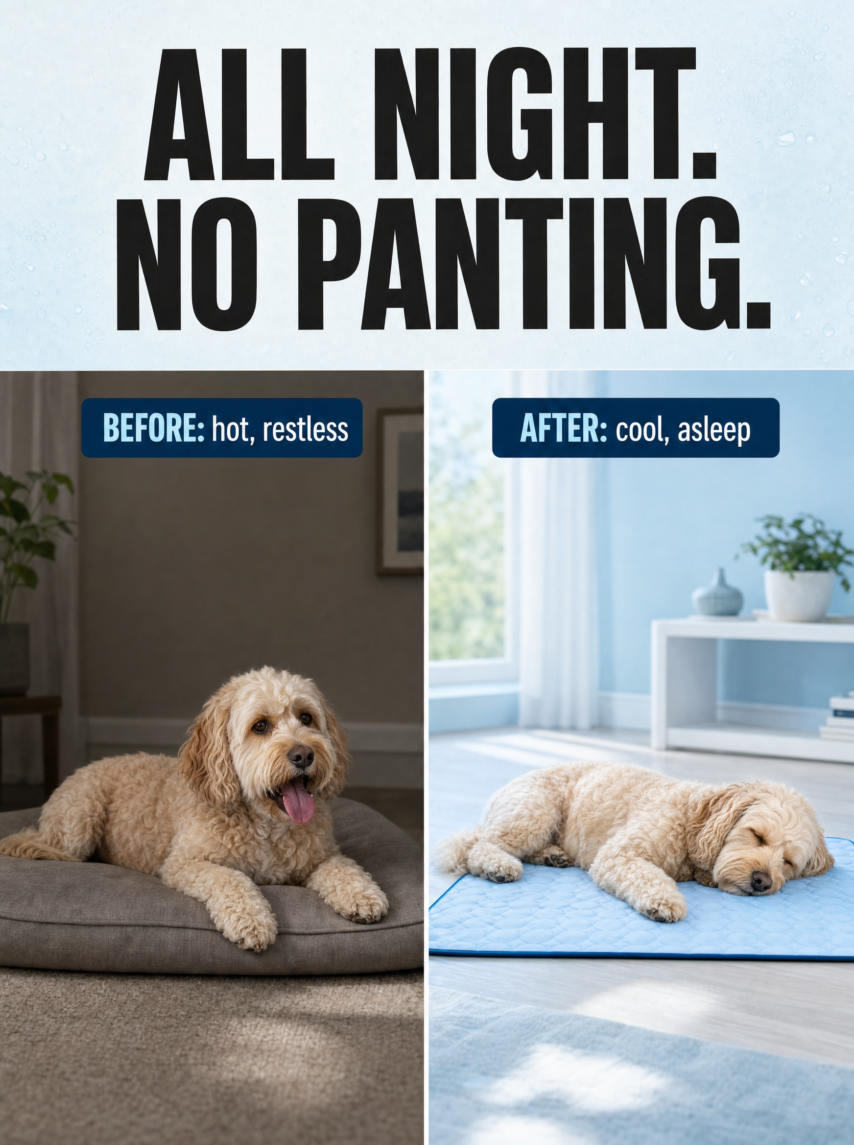 Rhykin Pet Co Facebook ad