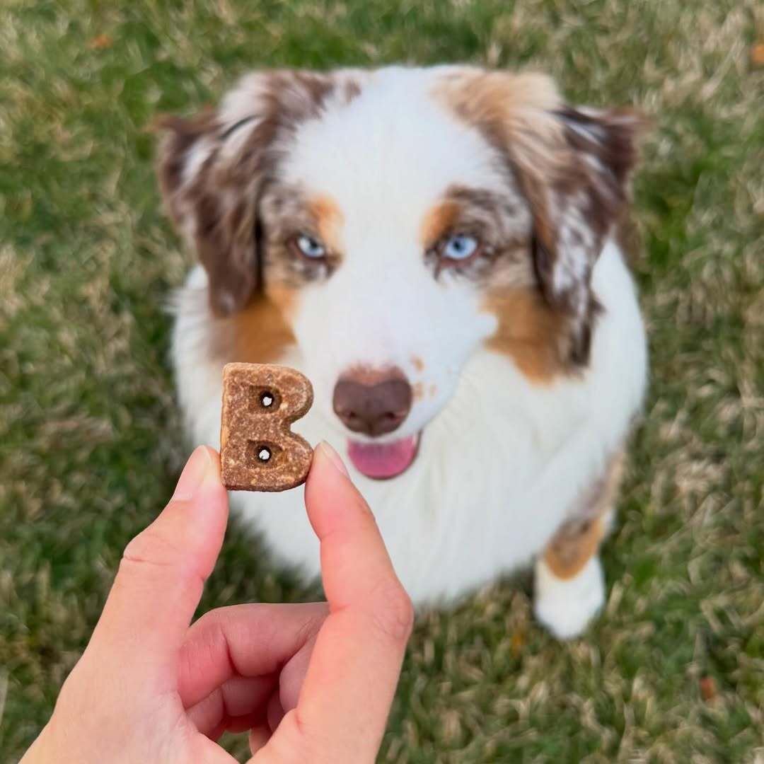 Bocce's Bakery Facebook ad