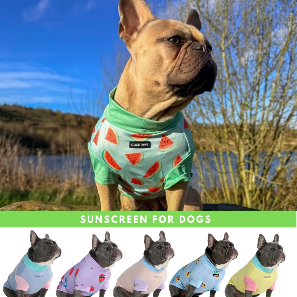 Spark Paws Facebook ad