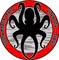 Jigsaw Martial Arts Edmonton
