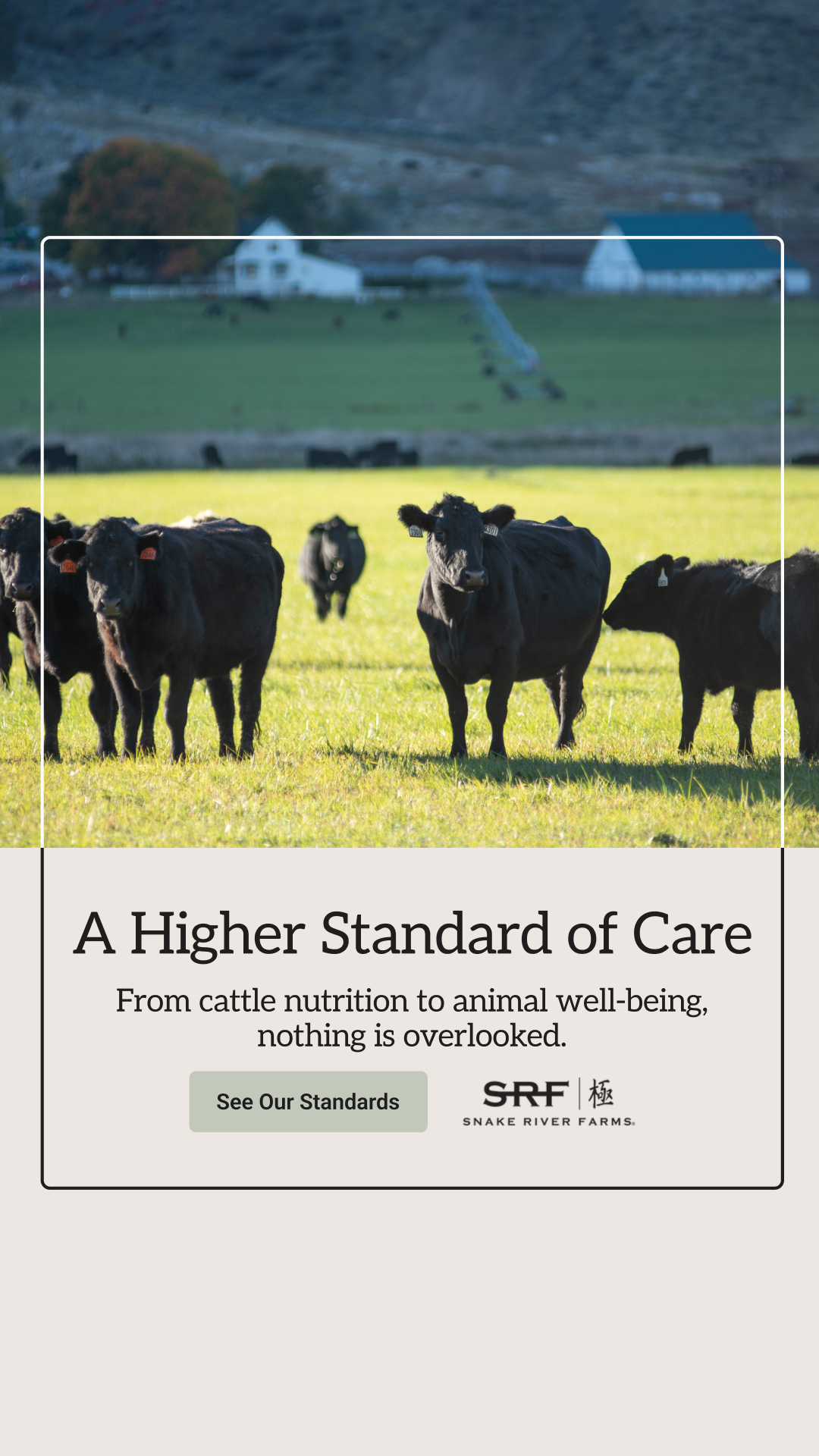 Snake River Farms Facebook ad