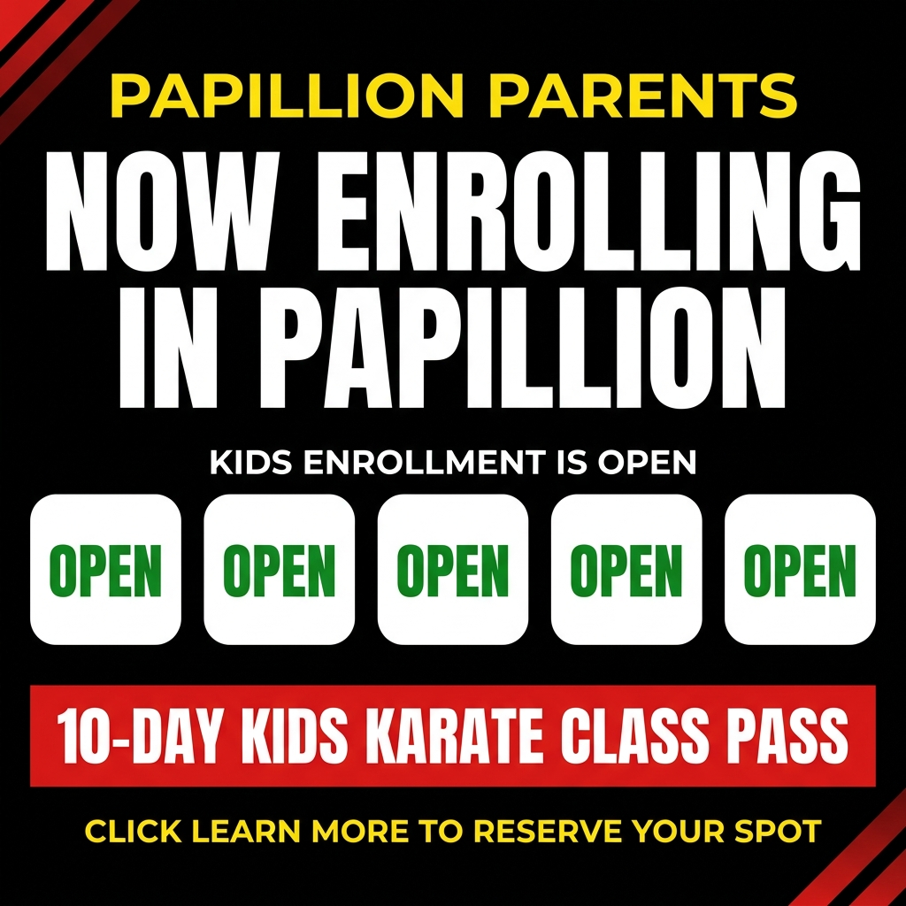 Champion Sport Karate Papillion Facebook ad