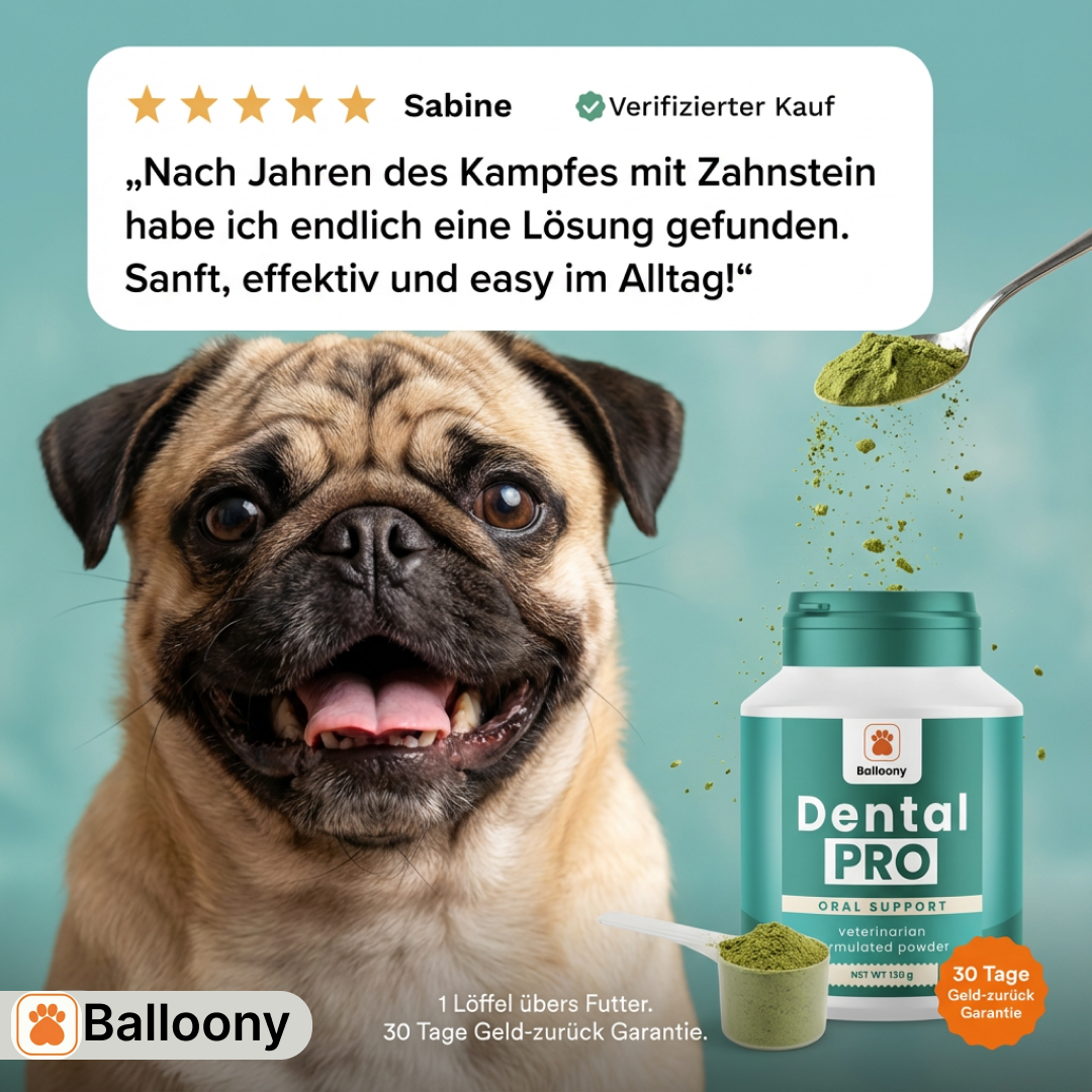 Balloony.pet Facebook ad