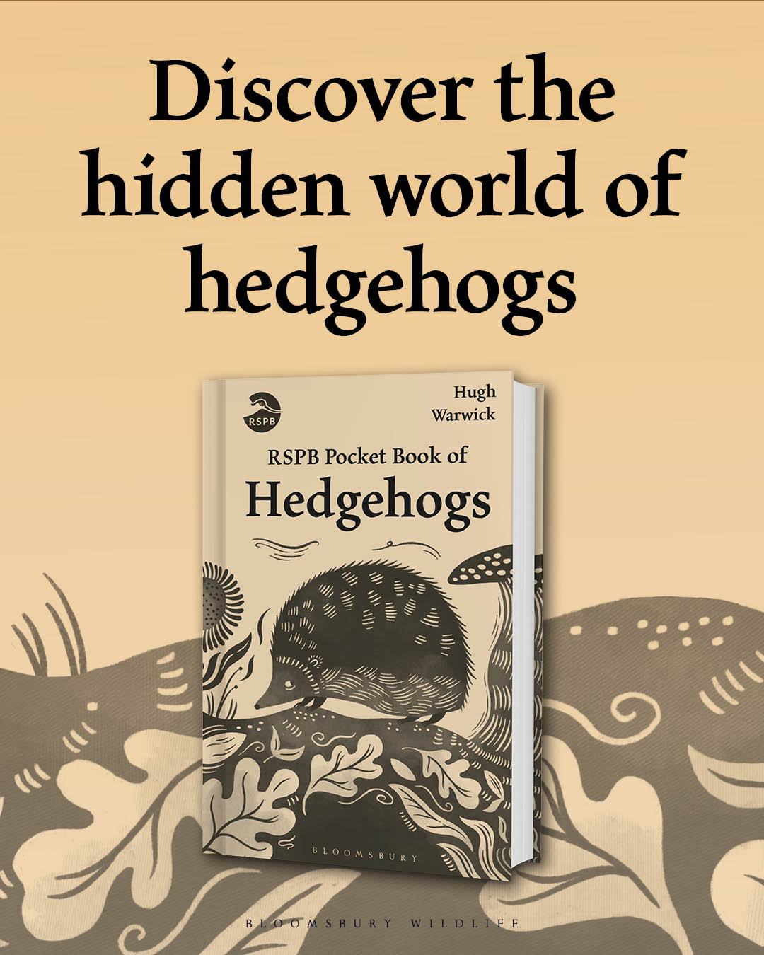 Bloomsbury Publishing UK Facebook ad